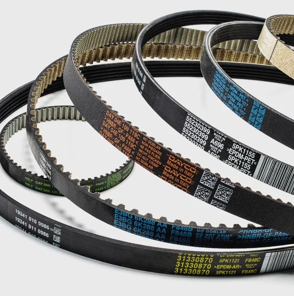 neoprene timing belts